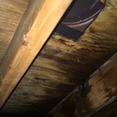 Interior Water Damage