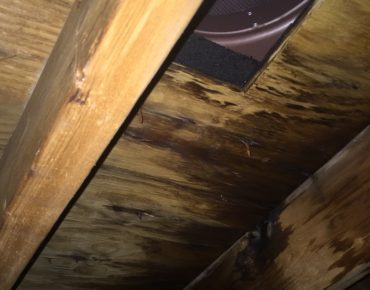 Interior Water Damage