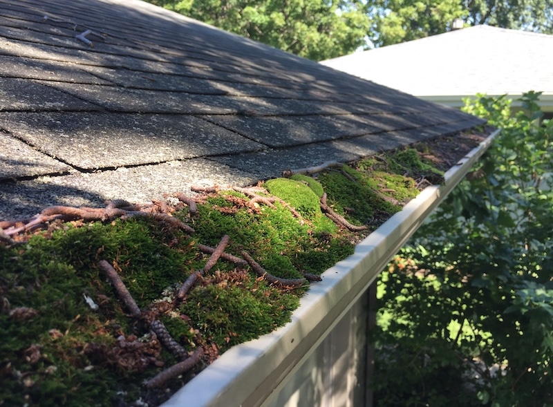 Clogged Gutters In Rockford